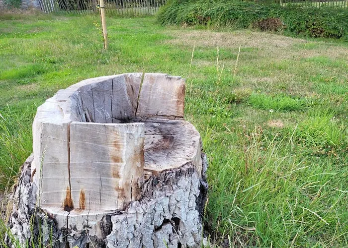 A La Salle De Jeux Et Son Jardin Autour De La Cabane Verte